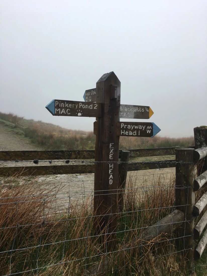 tumblr_p8fcvoqf6t1x432jwo1_1280