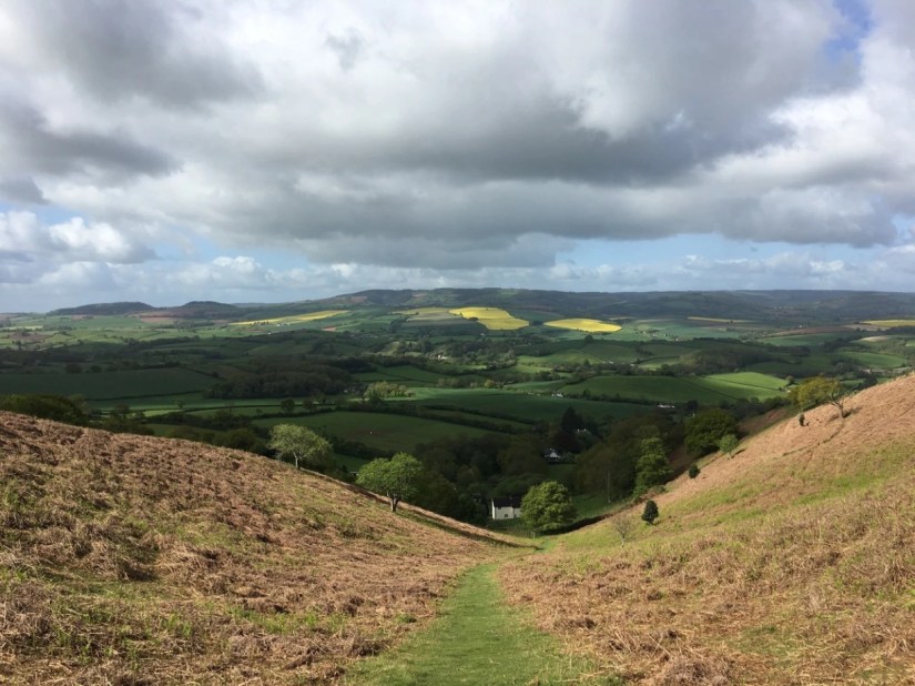 tumblr_p8irc12bdj1x432jwo1_1280