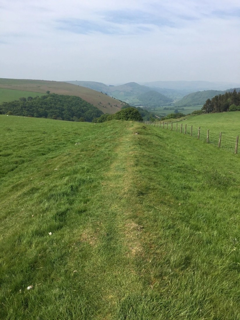 tumblr_p957dxljwi1x432jwo1_1280