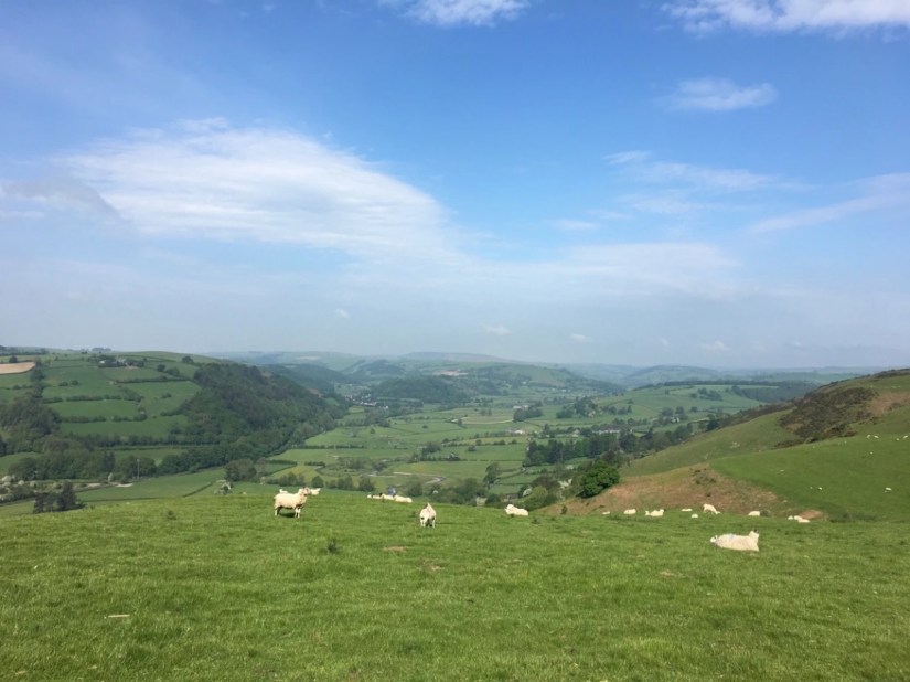 tumblr_p95cp9469z1x432jwo2_1280